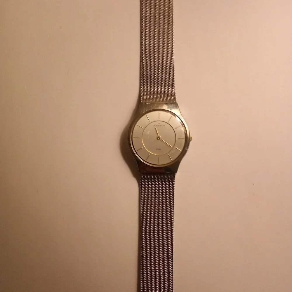 Skagen Denmark 233 LGSC  Used - Picture 4 of 6